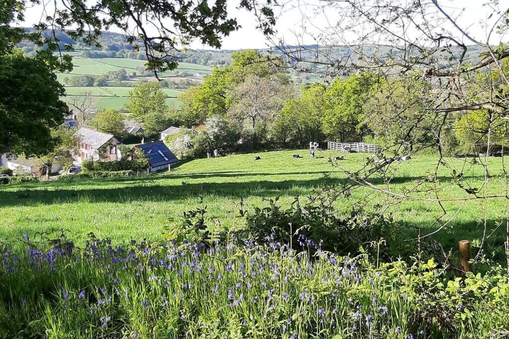 Ferienwohnung The Roost - A Bird'S Eye View In The Countryside Cullompton Exterior foto